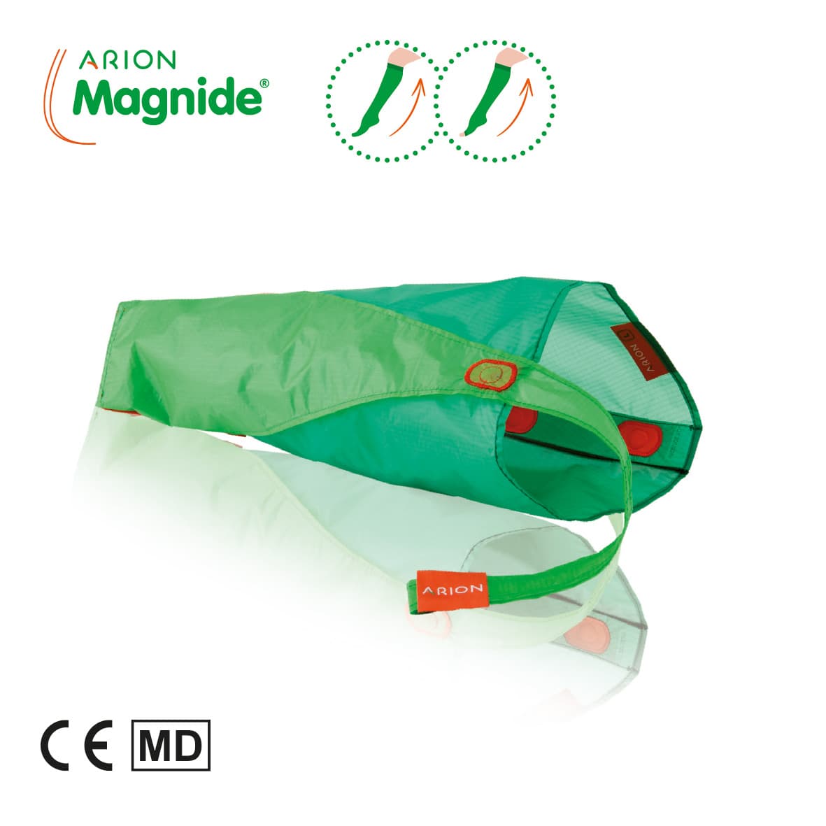 arion magnide
